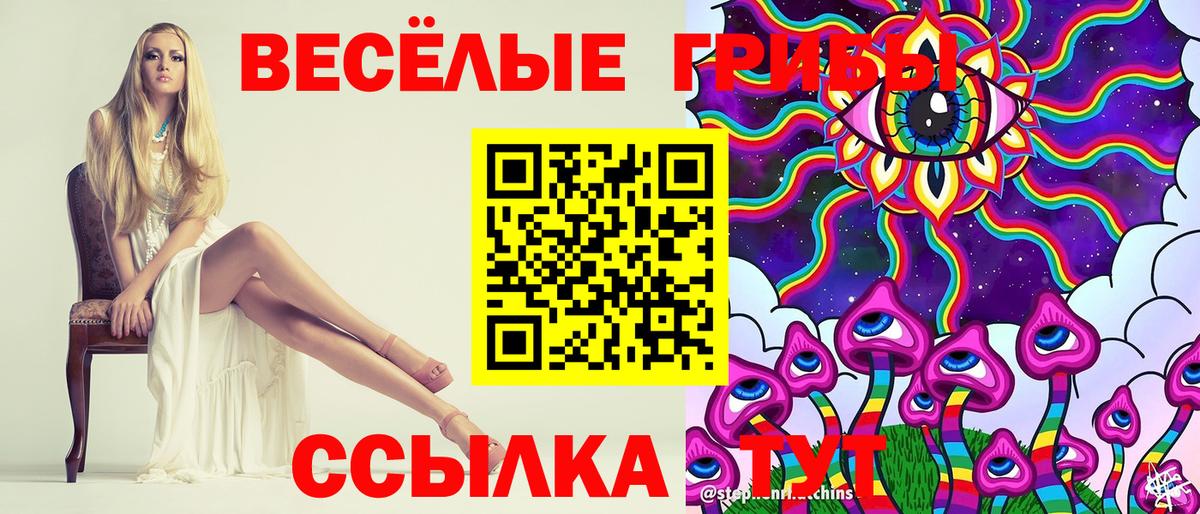 Псилоцибиновые грибы Cubensis  Галлюциногенные грибы Cubensis  Вход с VPN  Советская Гавань 